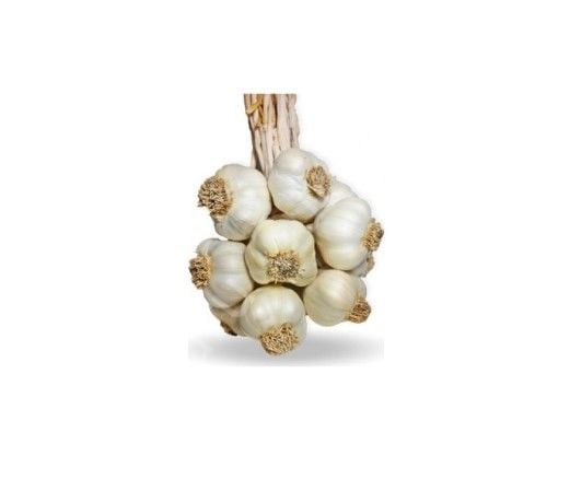 Guru Gurme Taş Köprü Sarımsak 1000 Gr.