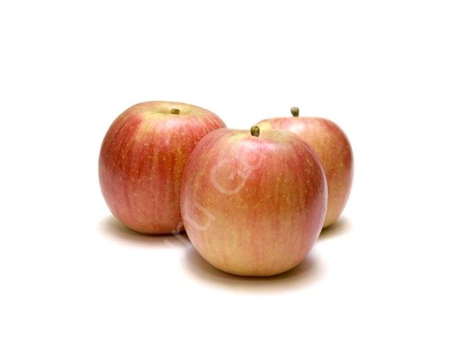 Guru Gurme Fuji Elma 1 Kg