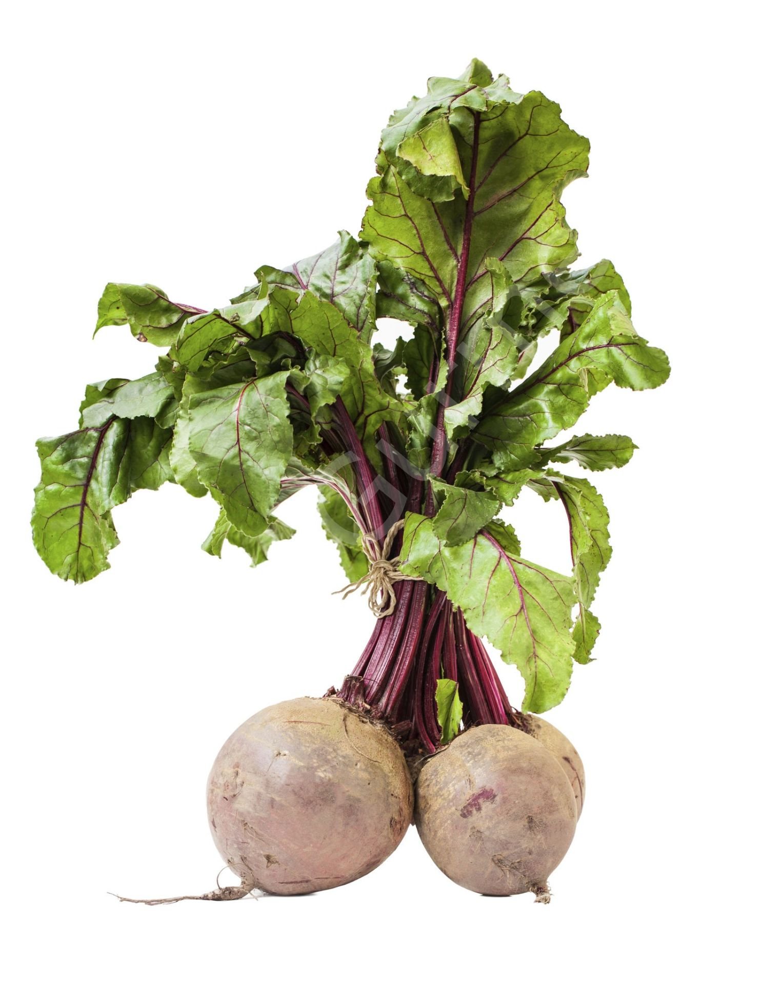 Guru Gurme Pancar 1 Kg