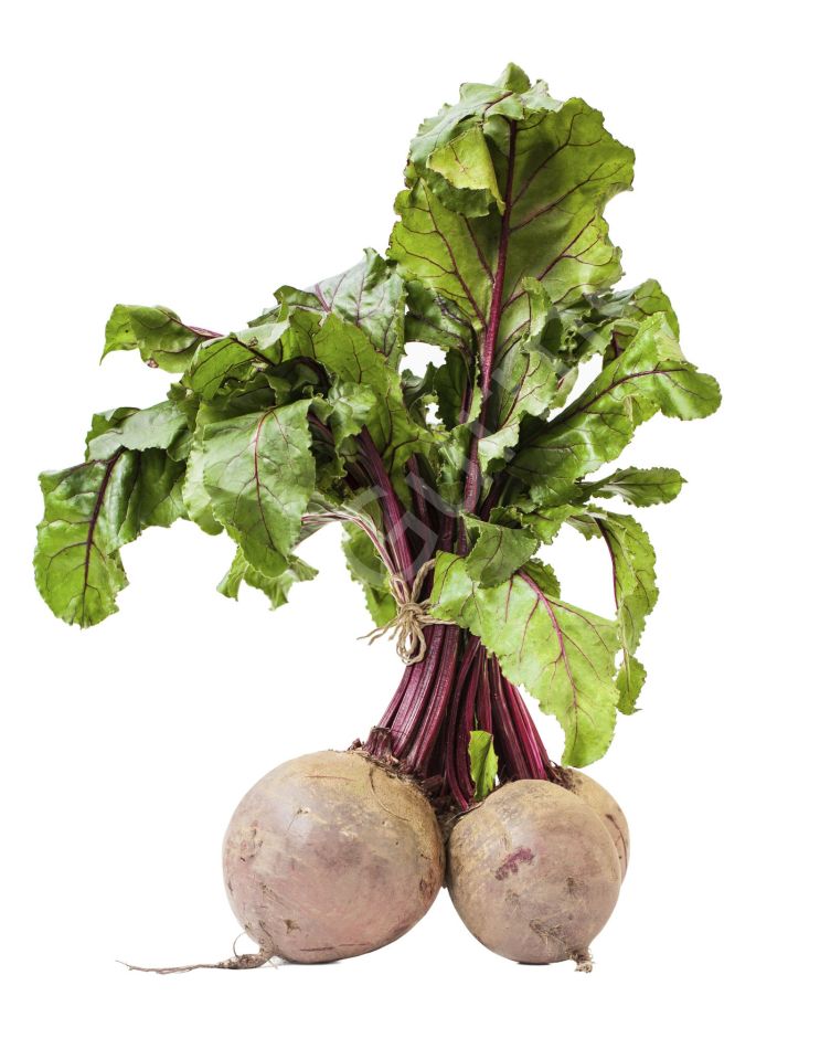 Guru Gurme Pancar 1 Kg