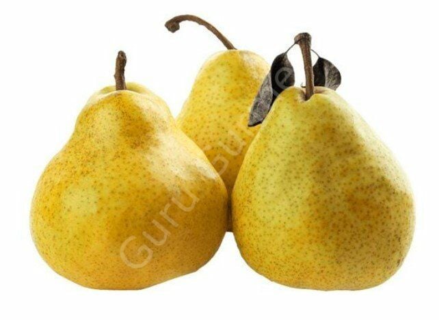 Guru Gurme Deveci Armut 1 Kg